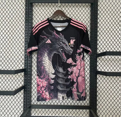 Image of Japon 2024 Concept
