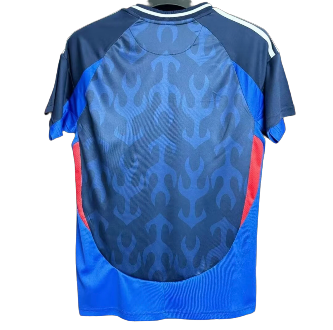 Japan 2024 Home