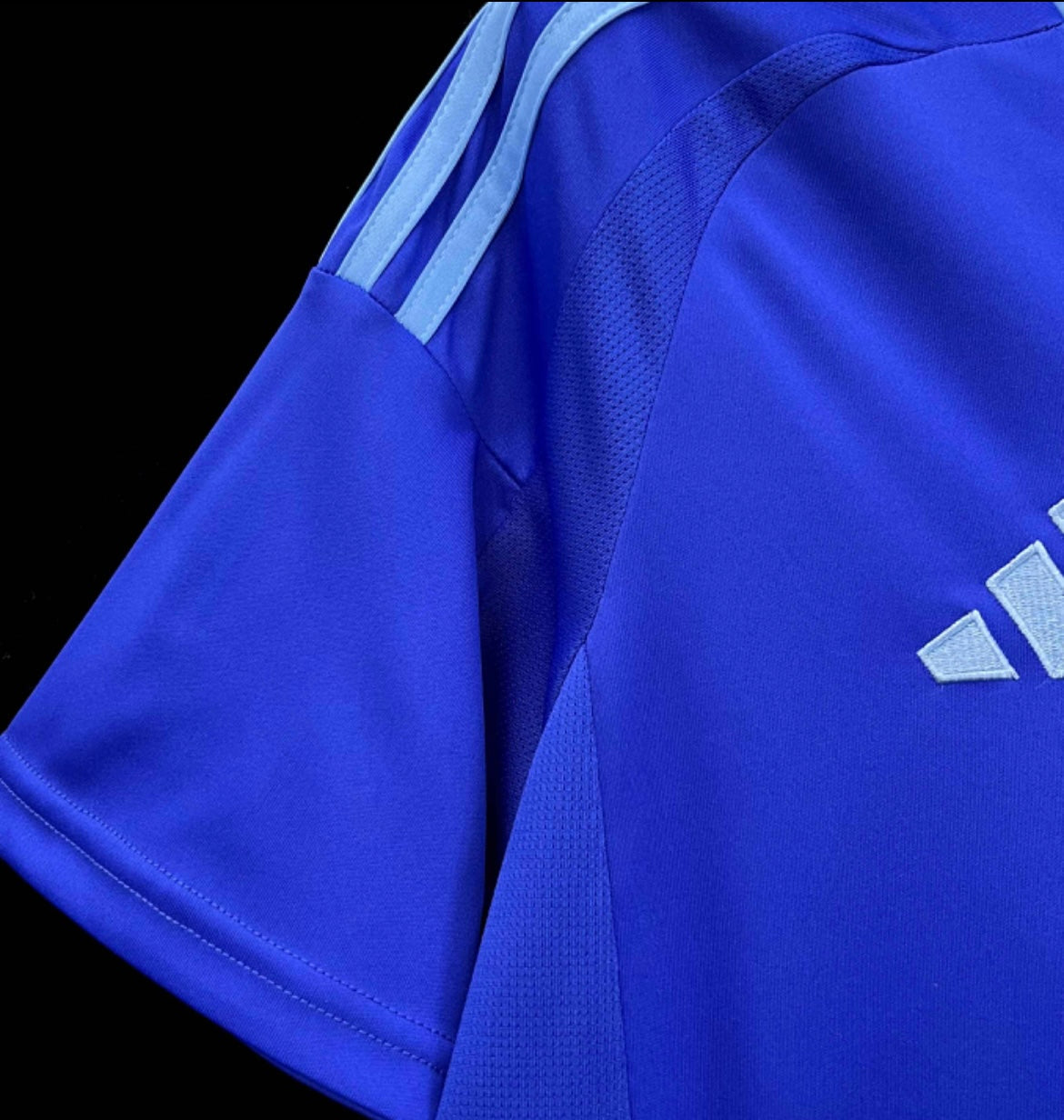 Argentina 2024 Away