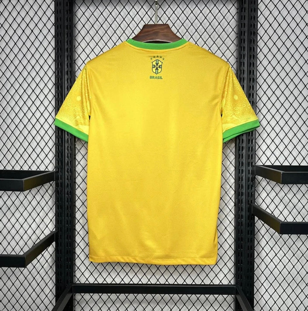 Brazil 2024 Concept