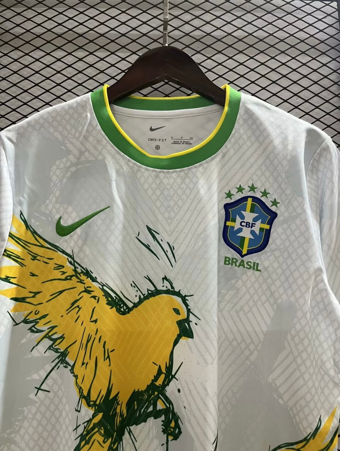 Brazil 2024 Concept