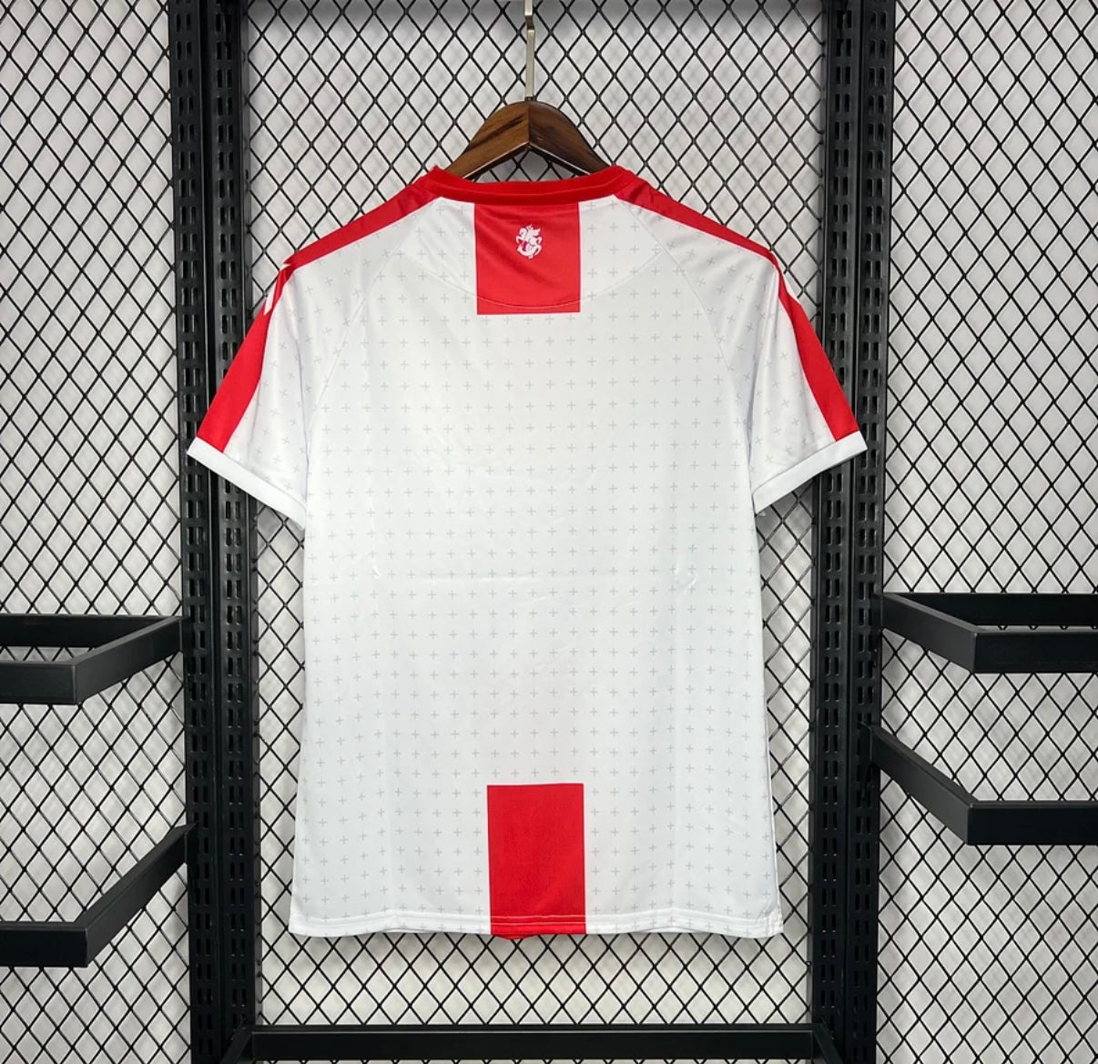 Georgia 2024 Home