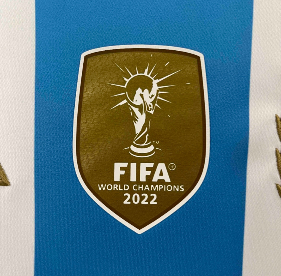 Argentina 2024 Home