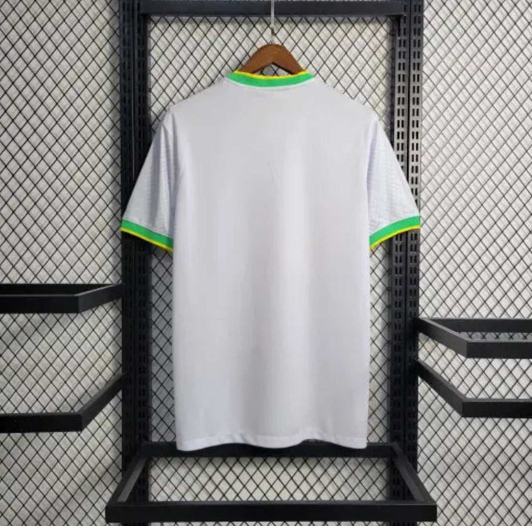 Brazil 2024 Concept