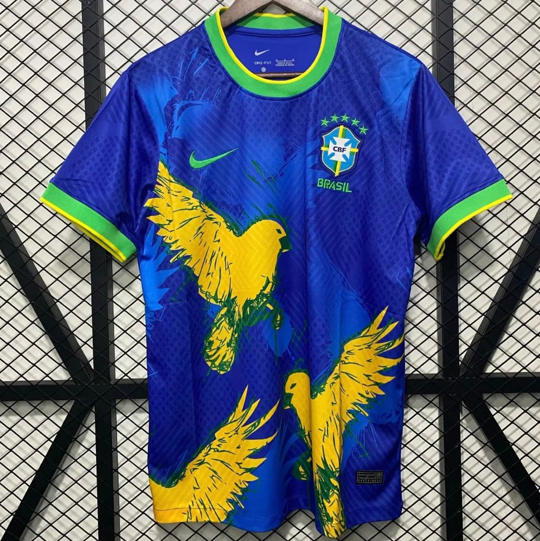 Brazil 2024 Concept