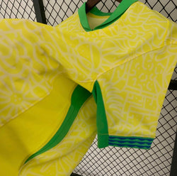 Image of Brésil 2024 Domicile
