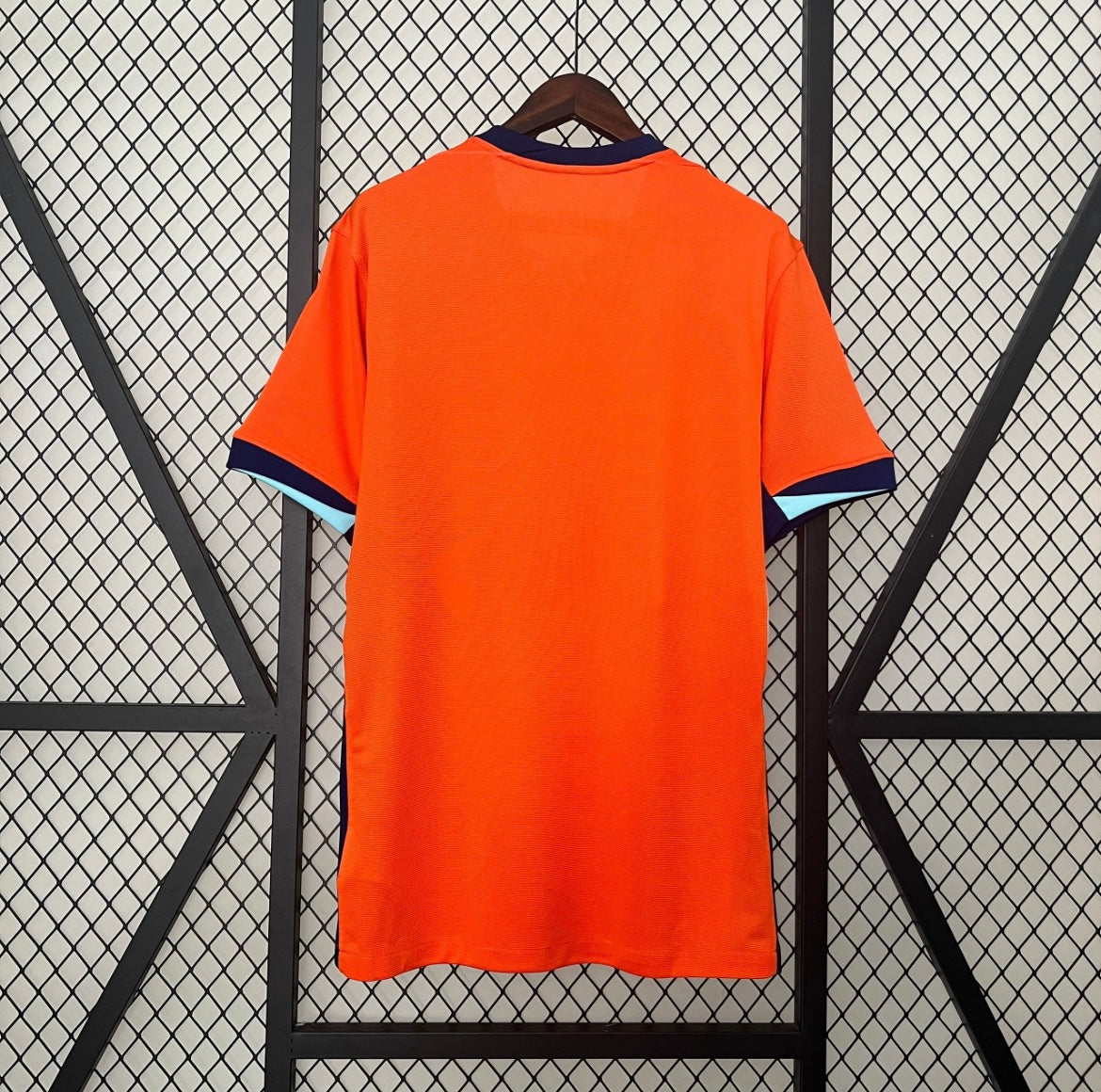 Netherlands 2024 Home