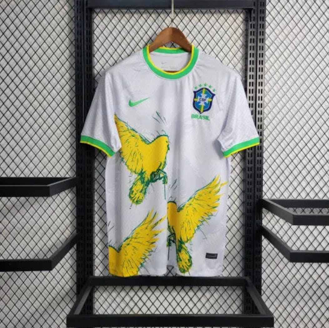 Brazil 2024 Concept