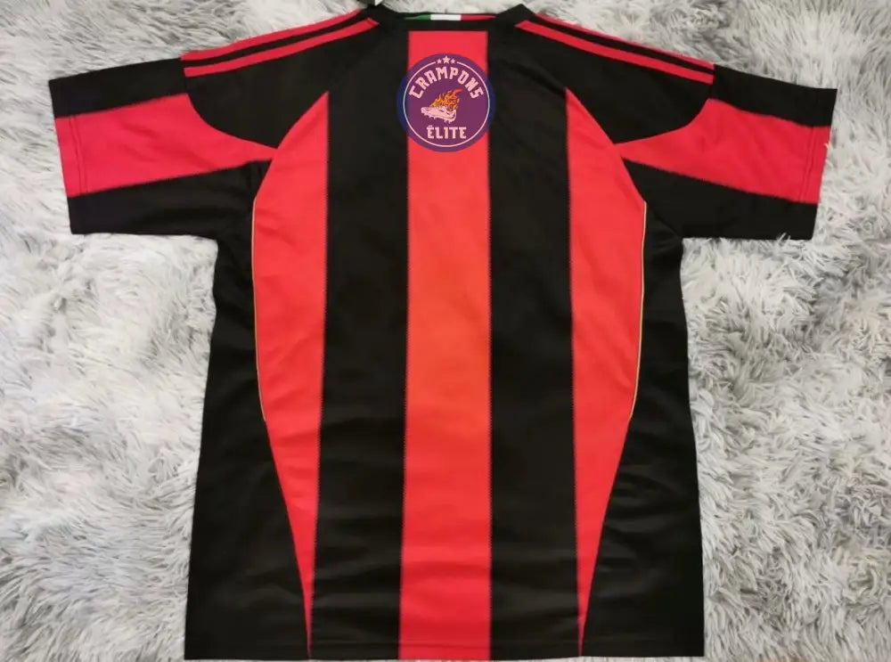 Image of AC Milan 2010/11 Domicile