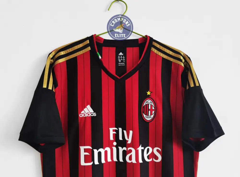 AC Milan 2013/14 Domicile