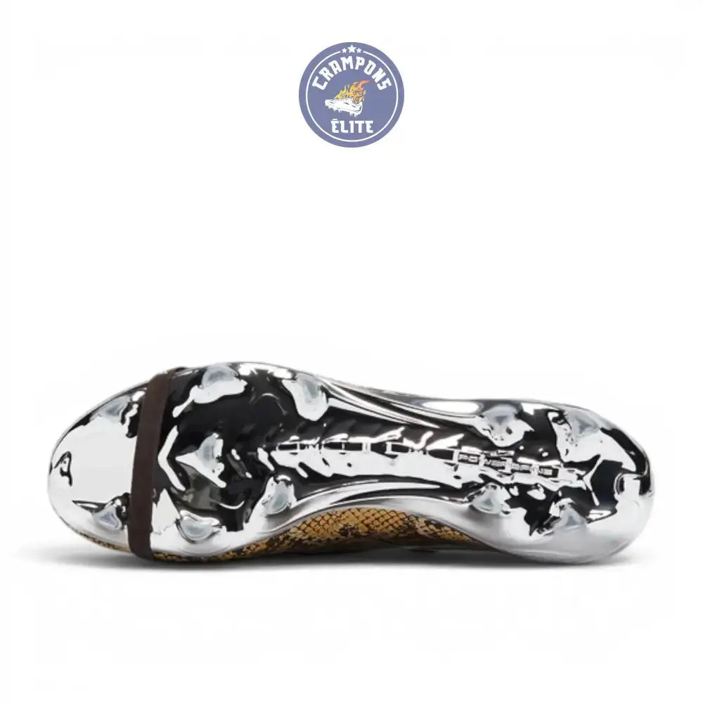 Image of Adidas Predator Elite Fold-over Tongue FG Wales Bonner - Marron/Argenté ÉDITION LIMITÉE