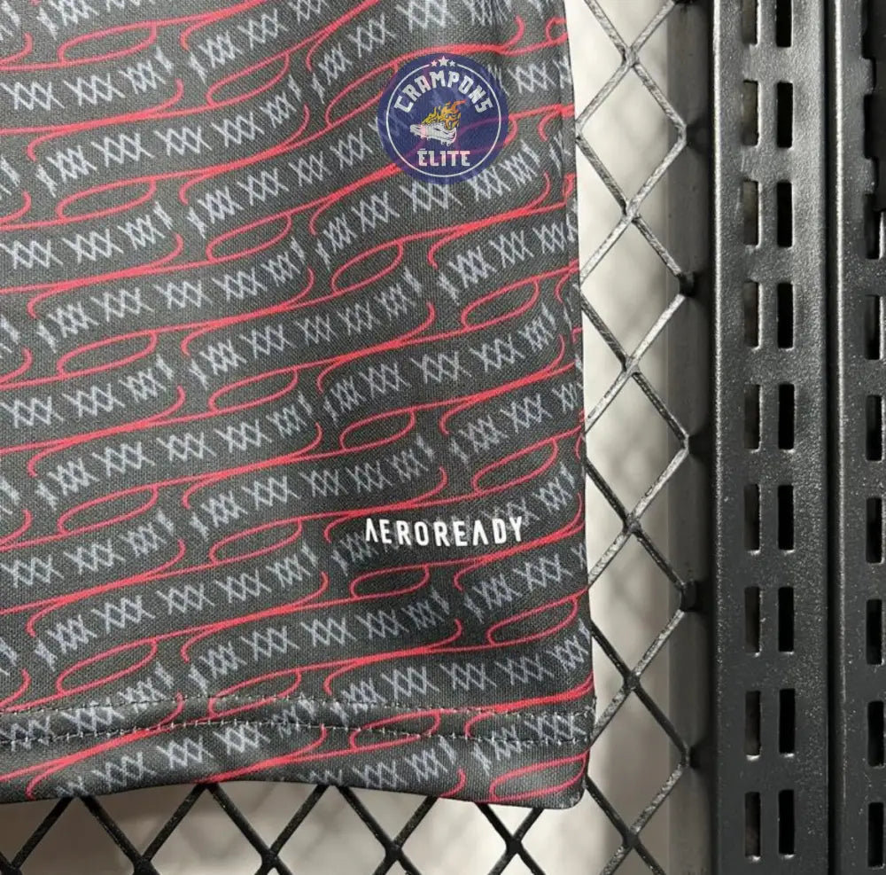 Image of Ajax Amsterdam 2024/25 Entraînement