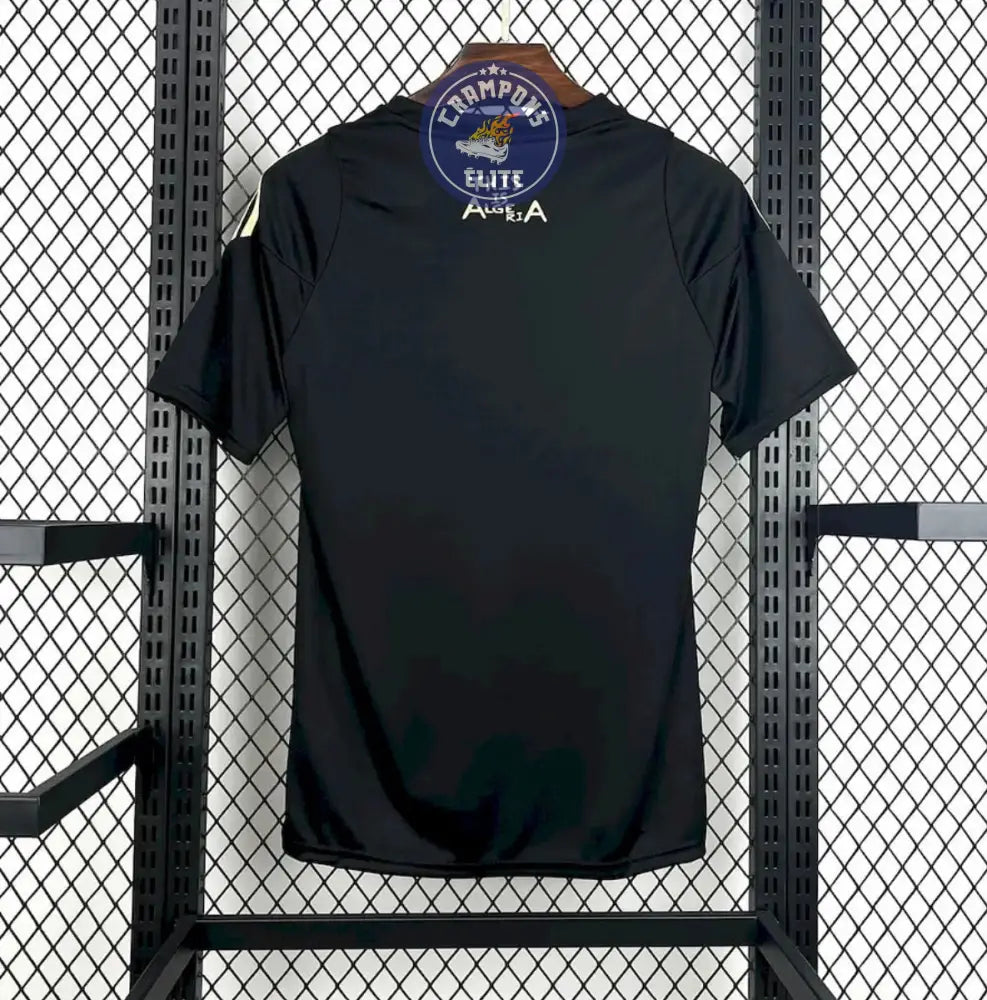 Image of Algérie 2025 Concept