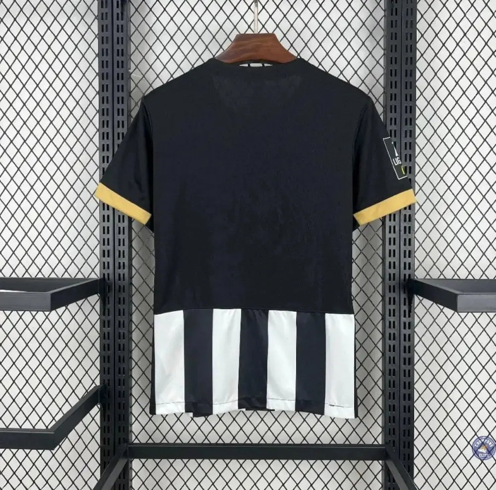 Image of Angers SCO 2025/26 Domicile