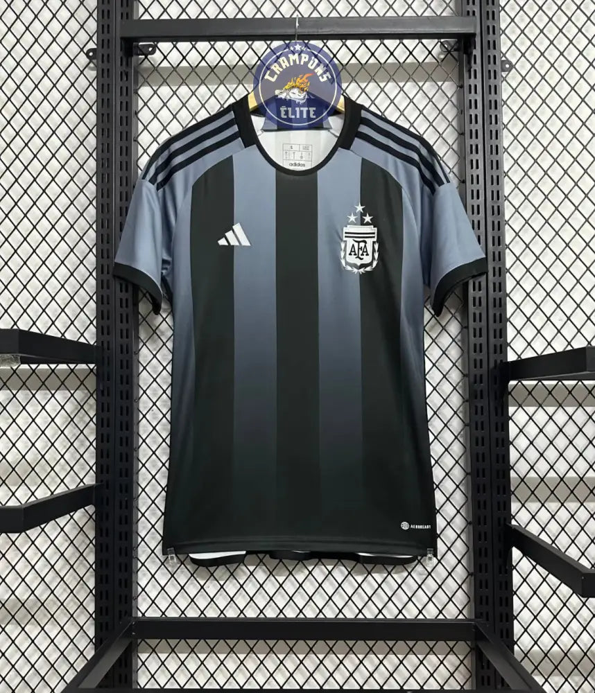 Image of Argentine 2024 Concept