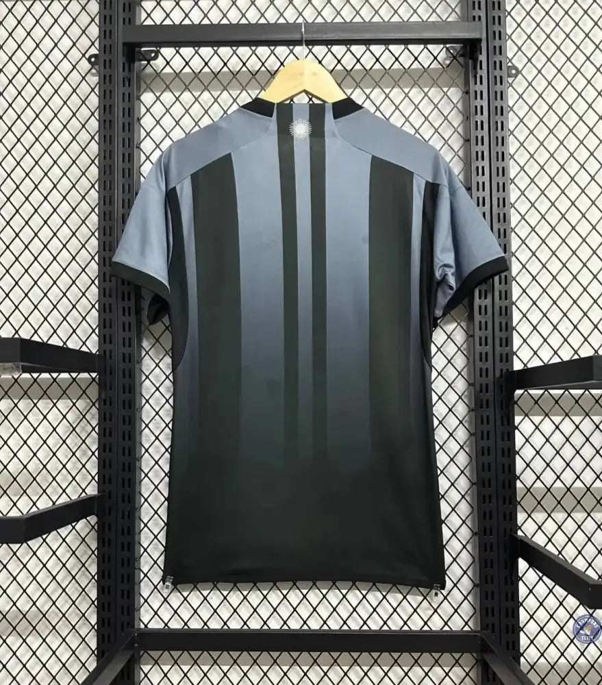 Image of Argentine 2024 Concept