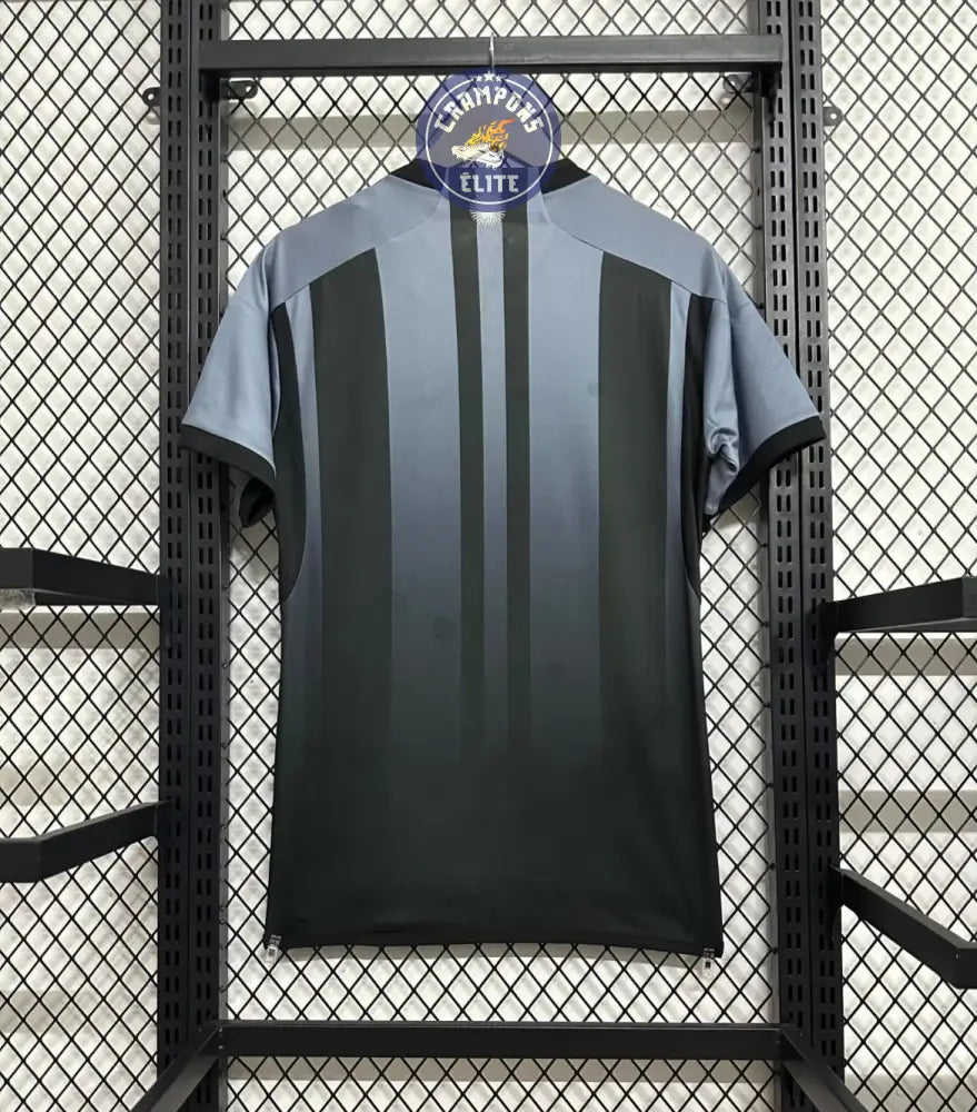 Image of Argentine 2024 Concept