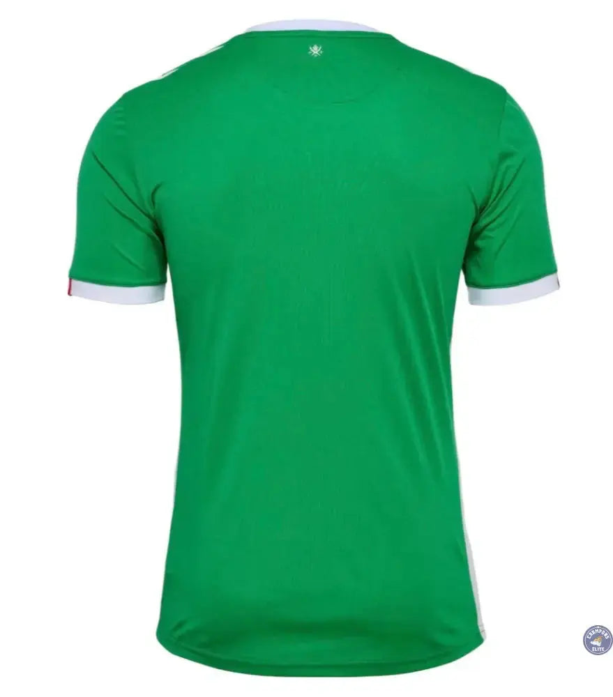 Image of ASSE 2024/25 Domicile