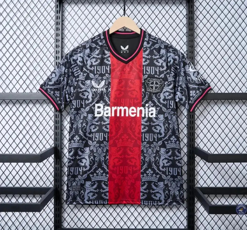Bayer Leverkusen 2024/25 Concept