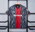 Bayer Leverkusen 2024/25 Concept