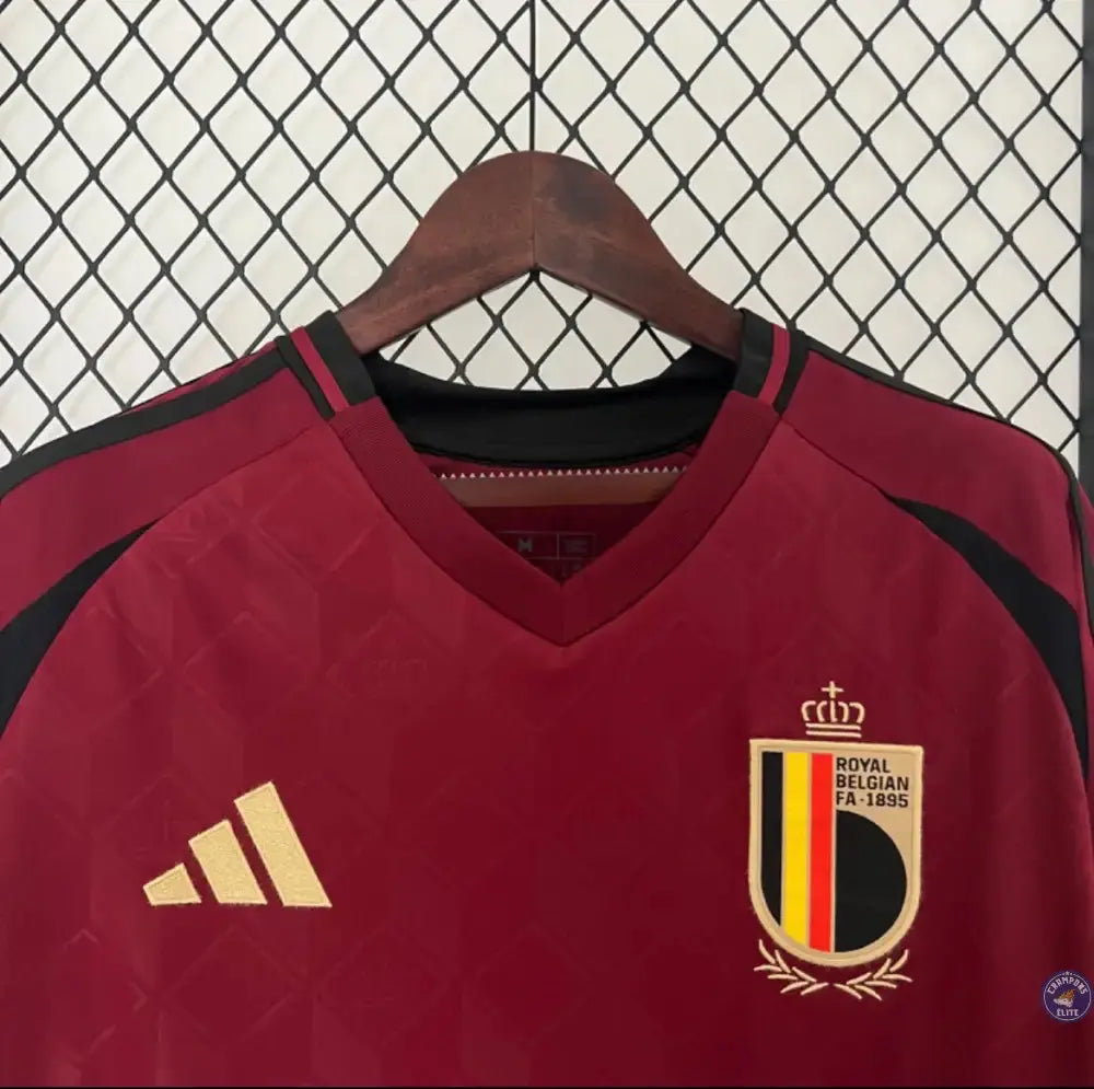 Belgique 2024 Domicile