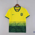 Brésil 2024 Concept