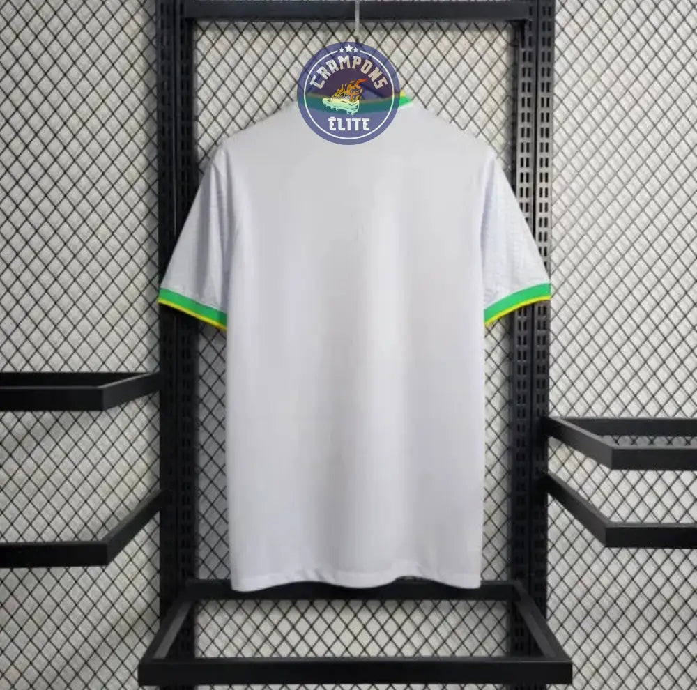 Brésil 2024 Concept