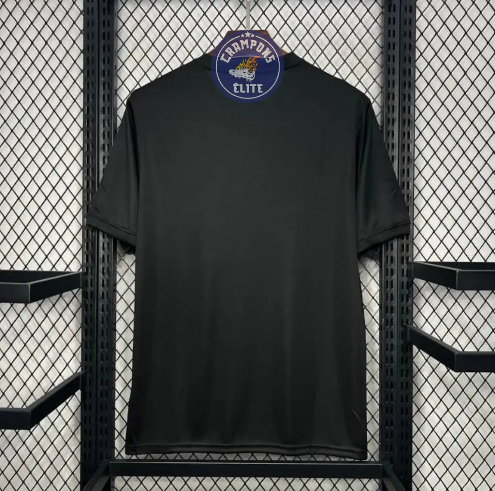 Image of Brésil 2024 Concept