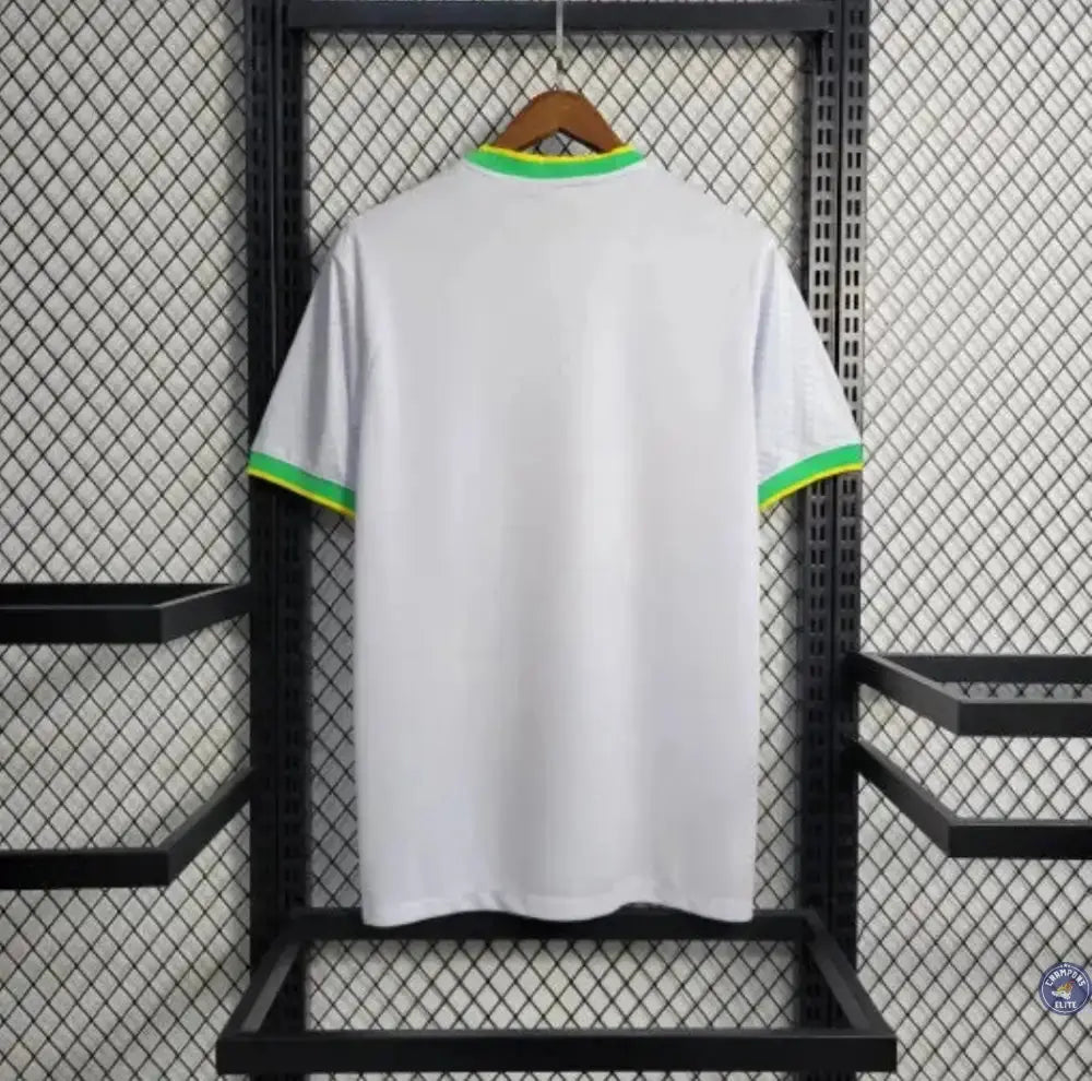 Brésil 2024 Concept