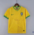 Brésil 2024 Concept