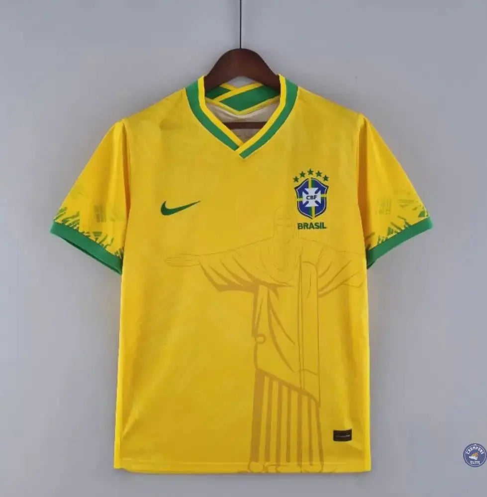 Brésil 2024 Concept