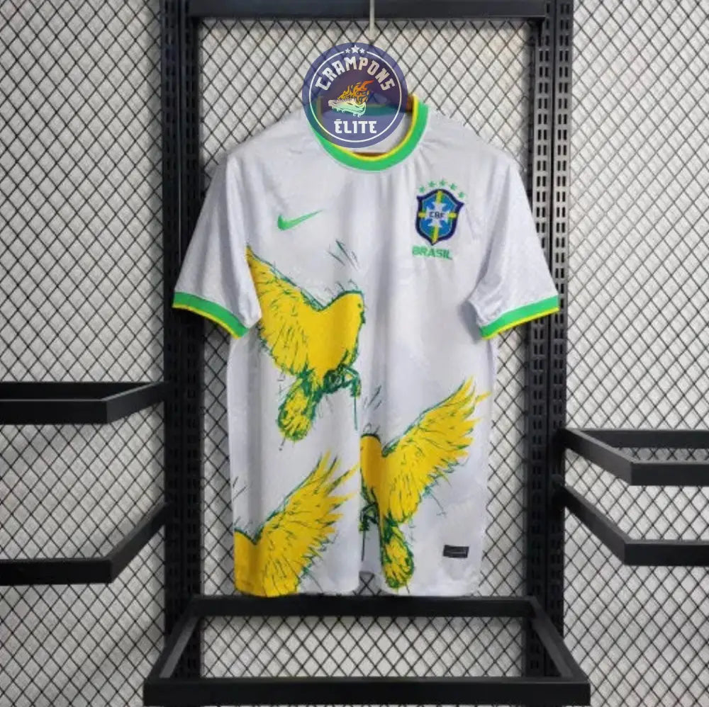 Image of Brésil 2024 Concept