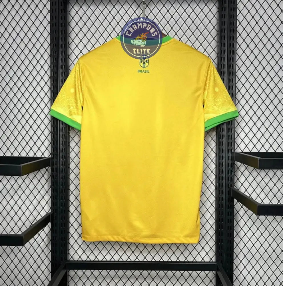 Image of Brésil 2024 Concept