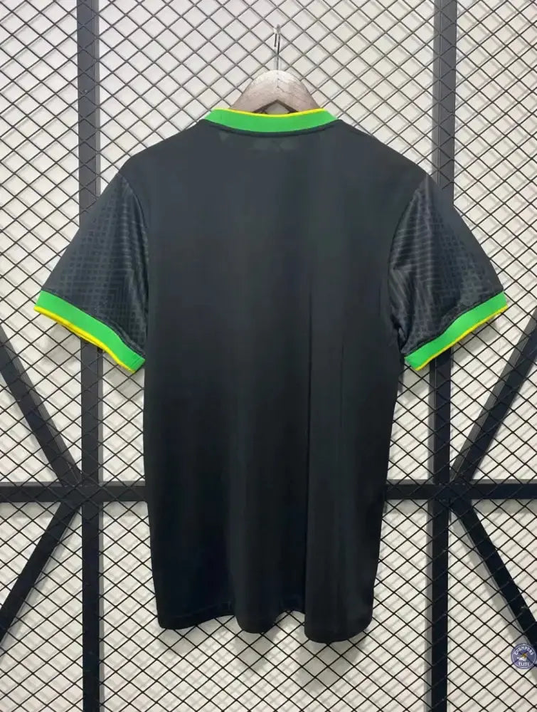 Brésil 2024 Concept