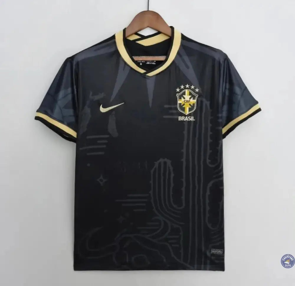 Brésil 2024 Concept