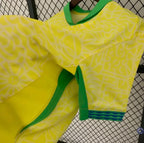 Brésil 2024 Domicile