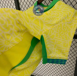 Image of Brésil 2024 Domicile