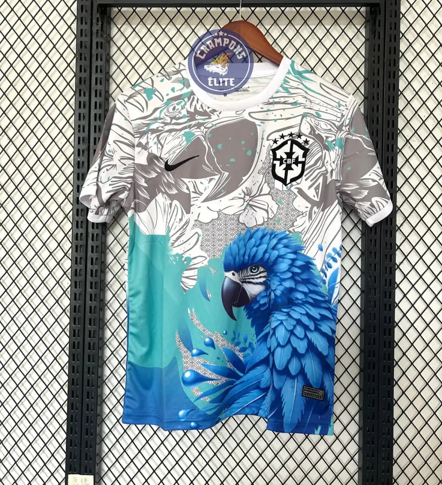 Image of Brésil 2025 Concept