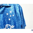 Cruzeiro 1993/94 Domicile