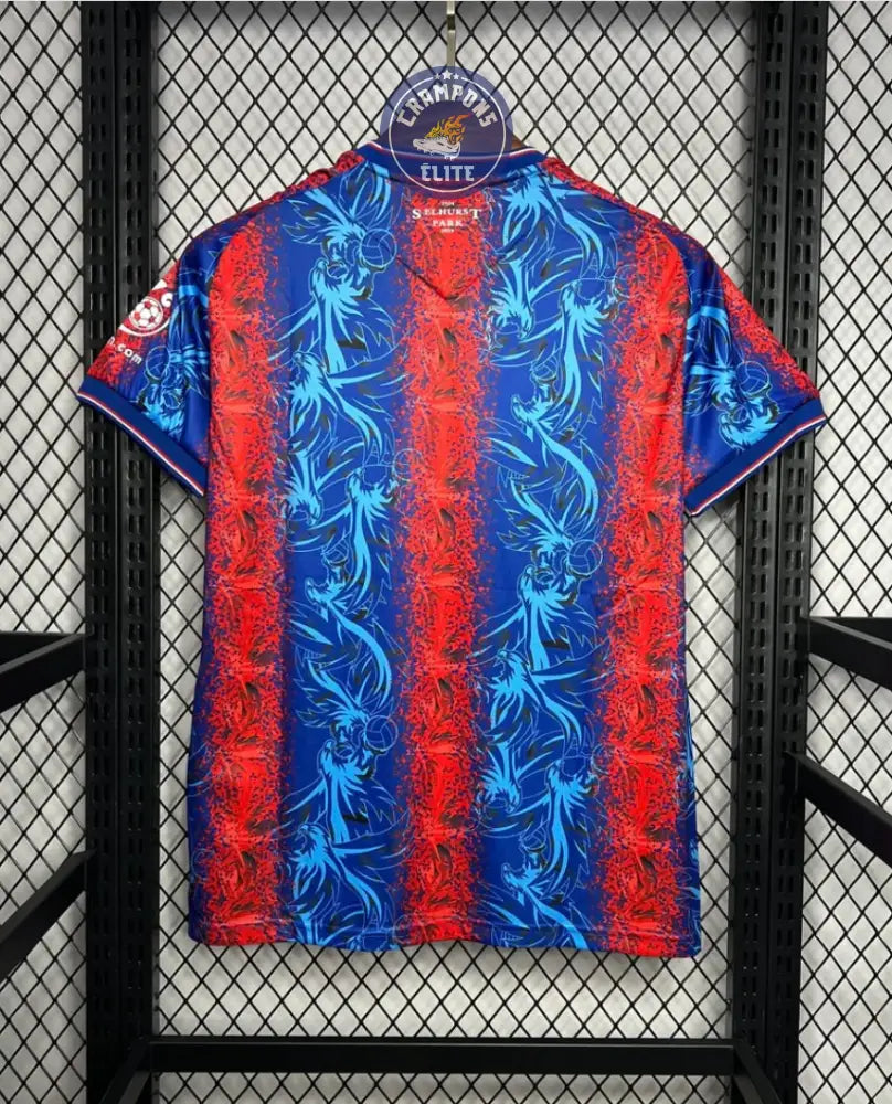 Image of Crystal Palace 2024/25 Domicile