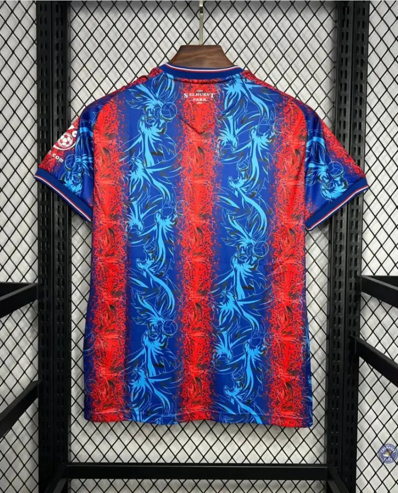 Crystal Palace 2024/25 Domicile