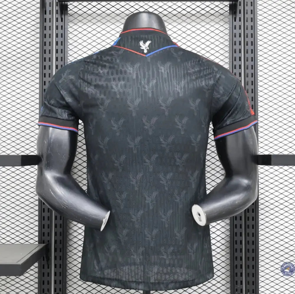 Crystal Palace 2024/25 Third
