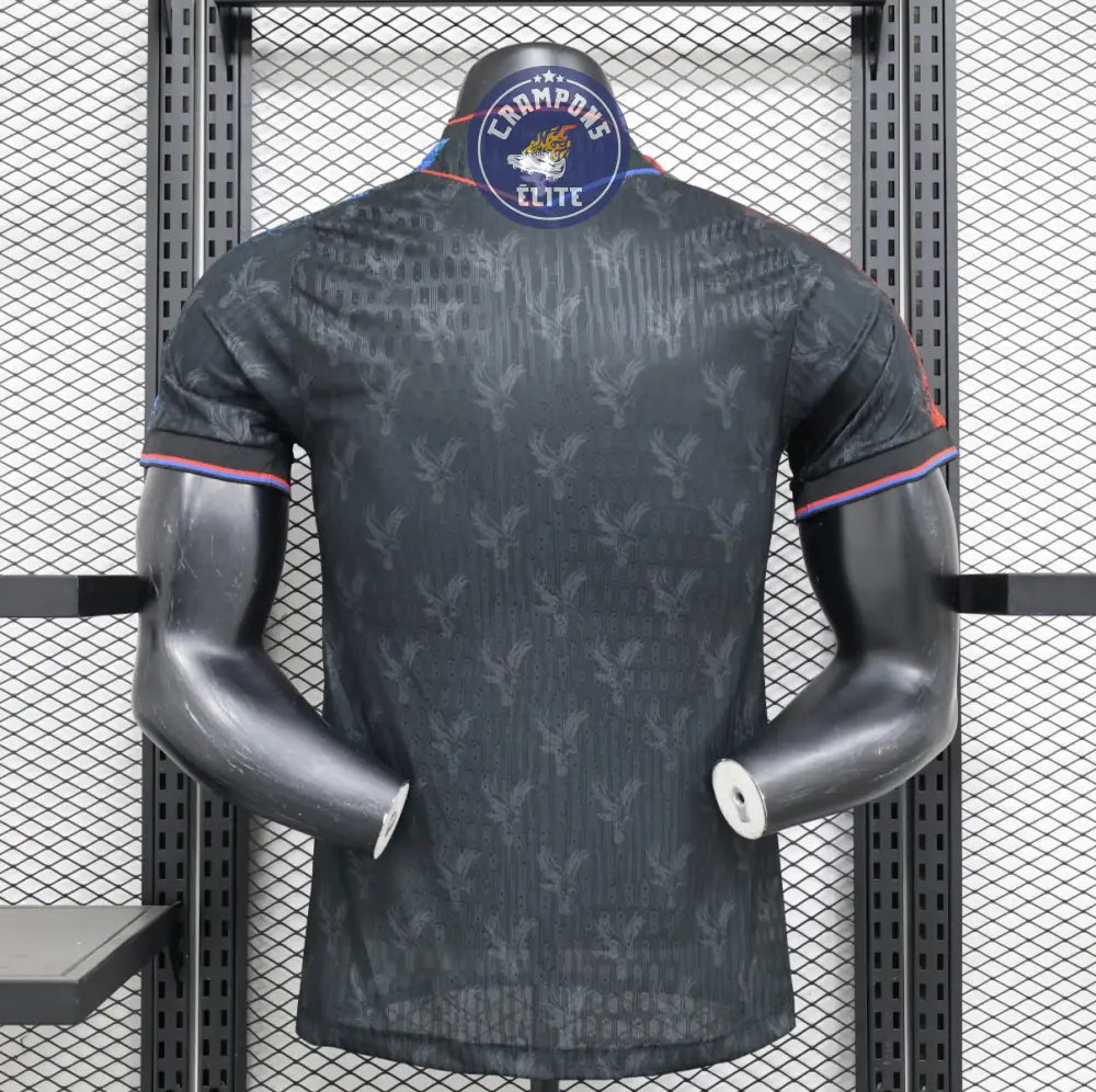Crystal Palace 2024/25 Third