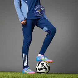 Image of F50 Languette FG Celestial Victory - Blue Fusion/Vert/Rose