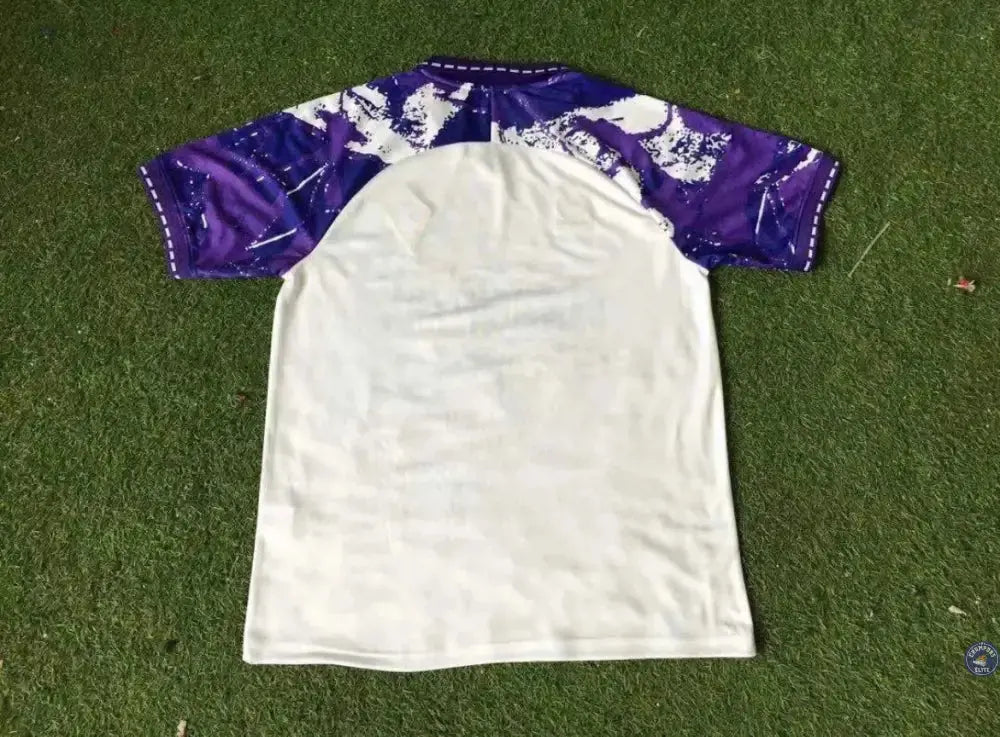 Image of Fiorentina 1994/95 Extérieur