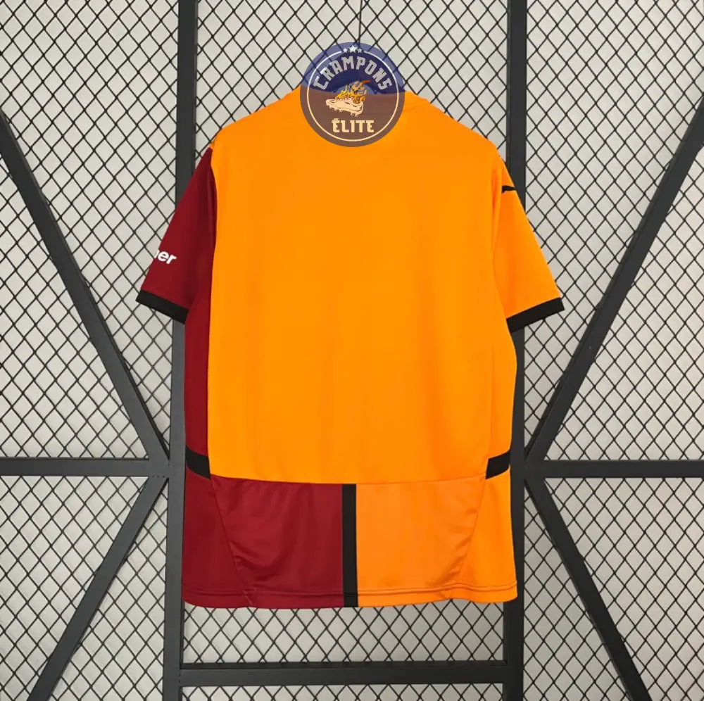Galatasaray 2024/25 Domicile
