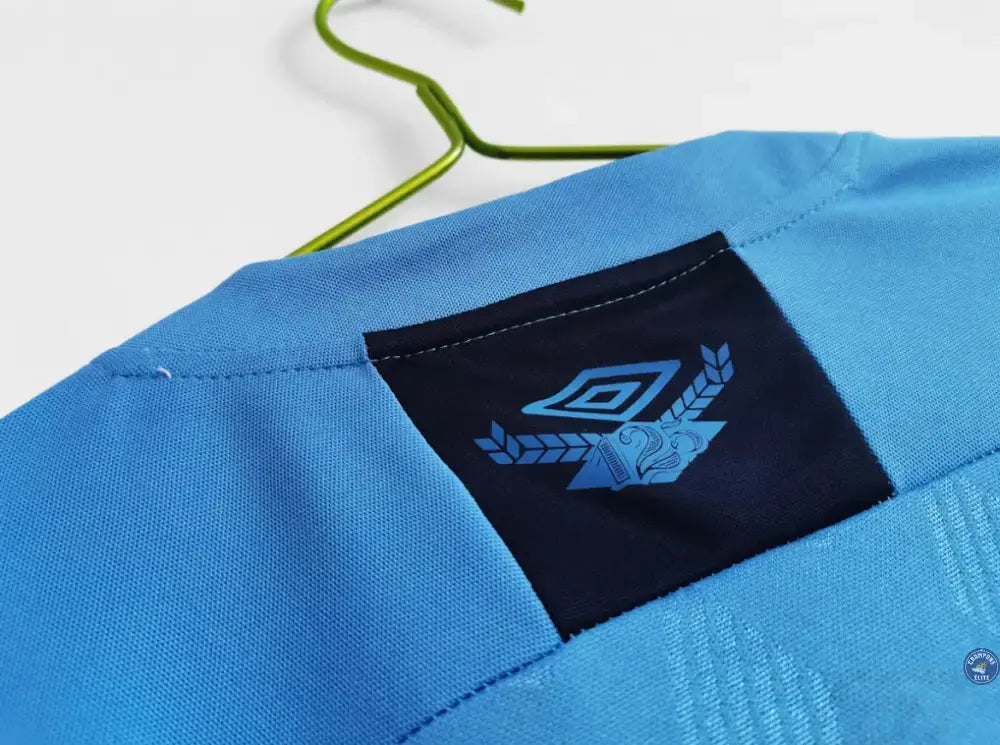 Image of Grêmio 2020/21 Domicile