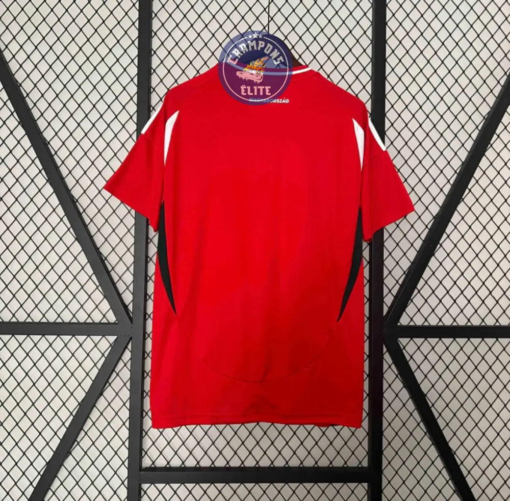 Image of Hongrie 2024 Domicile