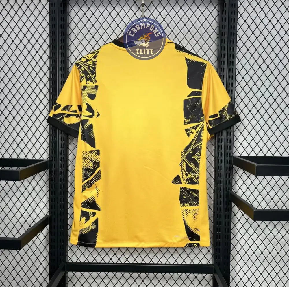 Inter Milan 2024/25 Third