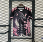 Japon 2024 Concept
